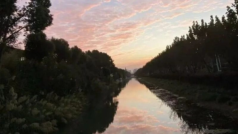 代理记账服务清单：企业合规运营的得力助手